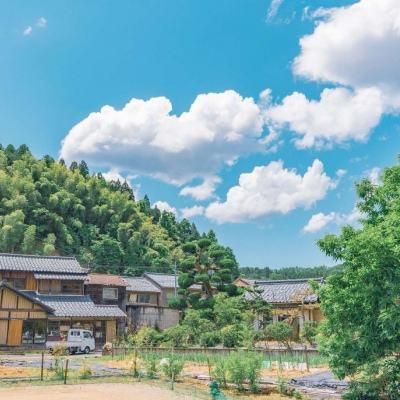 大四喜下载手机版