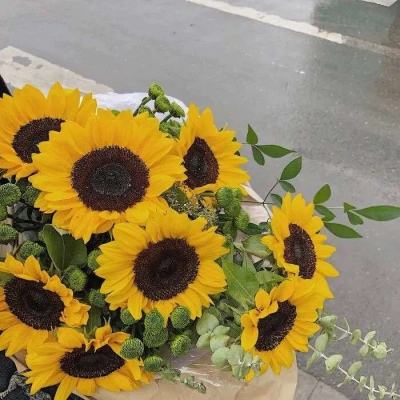 亚虎娱乐手机app下载