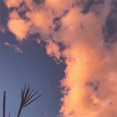 三亿体育手机app下载