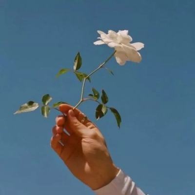 万博全站ManBetX4.79下载截图