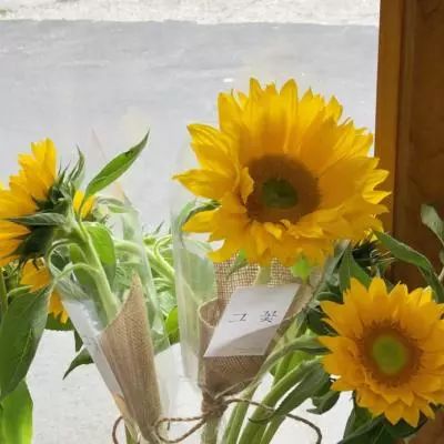 三亿体育手机app下载